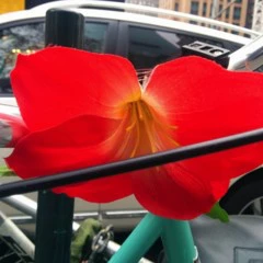 Foto 14 de 15 de la galería mejora-de-la-camara-del-nexus-5-con-android-4-4-1 en Xataka Android