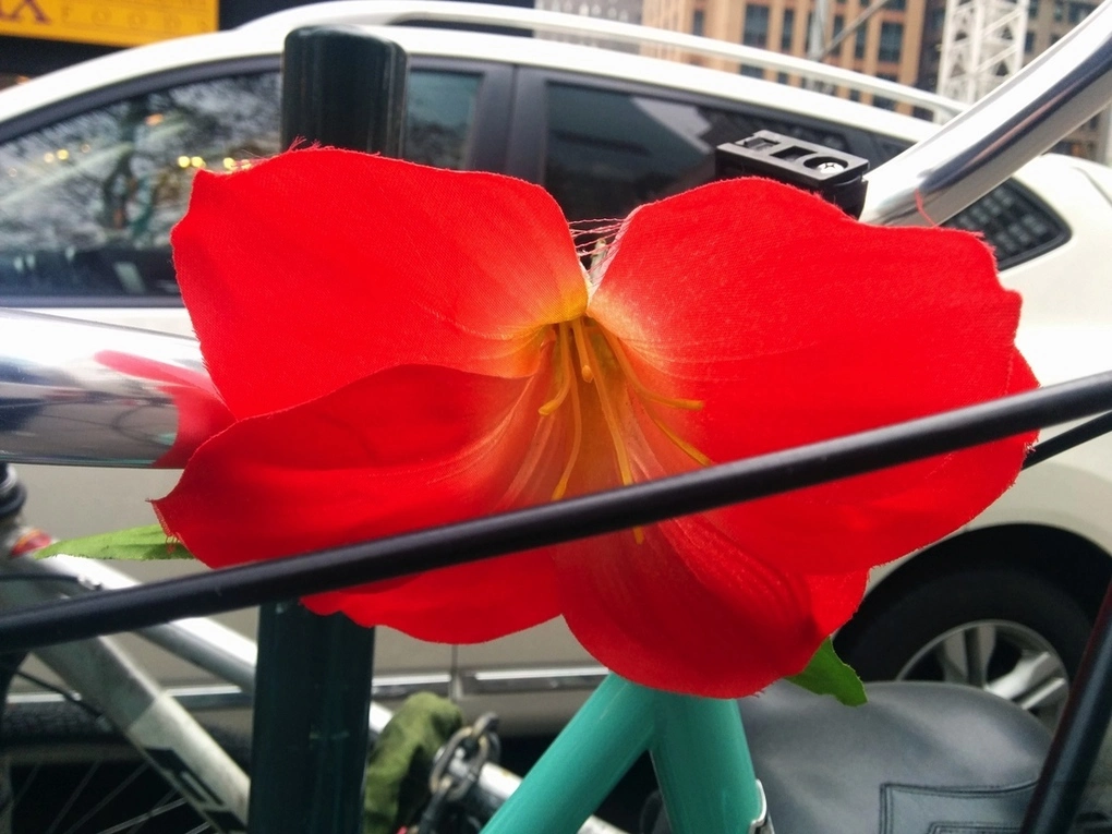 Foto de Mejora de la cámara del Nexus 5 con Android 4.4.1 (14/15)