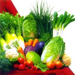 Vegetariano