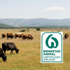 El sello de bienestar animal: qué significa y cómo identificarlo en el supermercado 