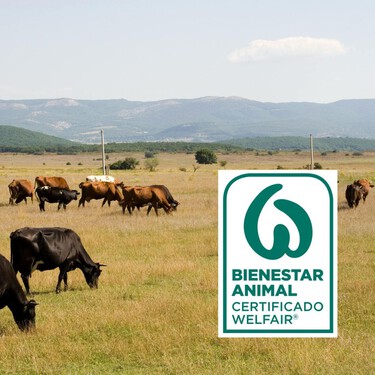 El sello de bienestar animal: qué significa y cómo identificarlo en el supermercado 