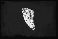 Abalorio De Colmillo De Puma