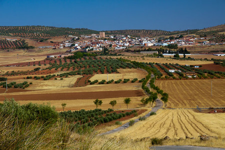 Terrinches Carlos Barraquete