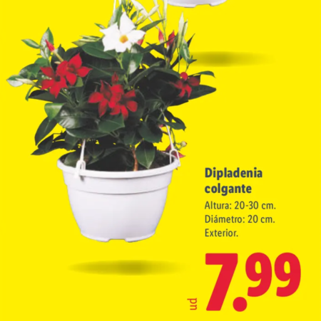 Captura De Pantalla 2026 03 19 105256