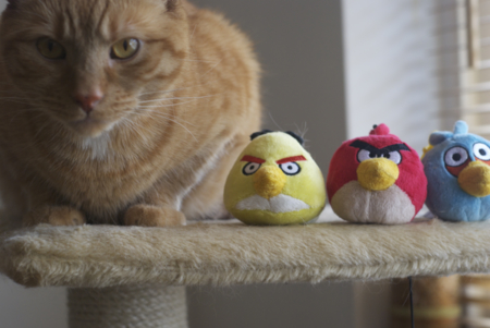 El juego Angry Birds, la exhausta gallina de los huevos de oro