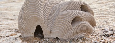 Morrer e virar um coral é uma opção para você? Para algumas pessoas é 