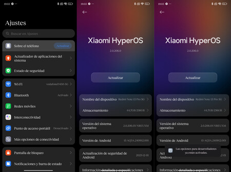 ajustes desarrollador