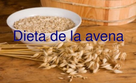 Dieta de la avena. Análisis de dietas milagro (XXI)