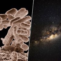 Na busca pela vida no espaço, cientistas alertam para um novo problema: os falsos negativos 