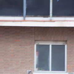 Foto 27 de 32 de la galería tamron-100-400mm-f-4-5-6-3-di-vc-usd en Xataka Foto