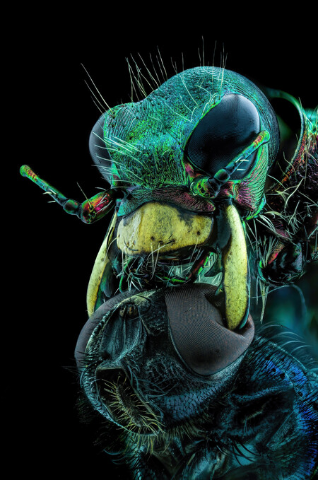 Basinc