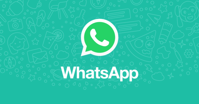 Whatsapp Android
