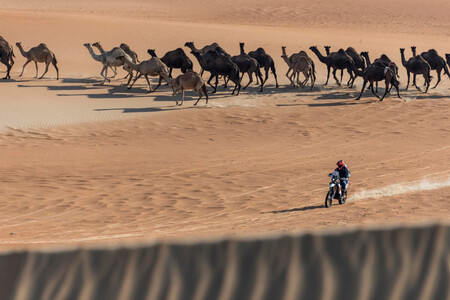 Camellos Dakar 2021