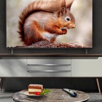 Cae hasta mínimo histórico el precio de esta enorme tele OLED de 65 pulgadas con una calidad de imagen brutal