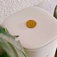Hay gente recomendando poner una moneda sobre el router WiFi para que funcione mejor. Es una tontería como un templo