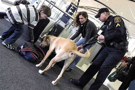 Nuevas medidas de seguridad para volar a Estados Unidos
