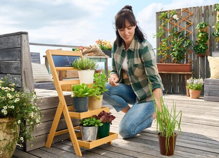 Estantería para plantas Lidl