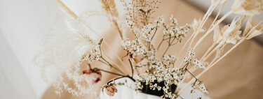 El regreso de las flores secas: una alternativa para decorar tu casa sin apenas cuidados, pero con todo el color