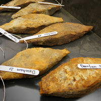 Una excavadora sacó una tonelada de óxido en Austria: era un cargamento prehistórico con metal para armar un enjambre de drones de combate 