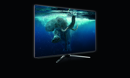 Gr Oled Tv 55vlo9890 Left Elefant