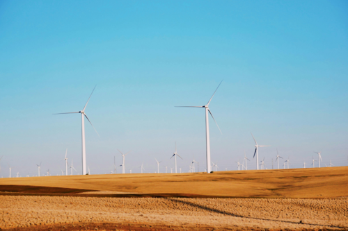 Imagem de capa | Pexels