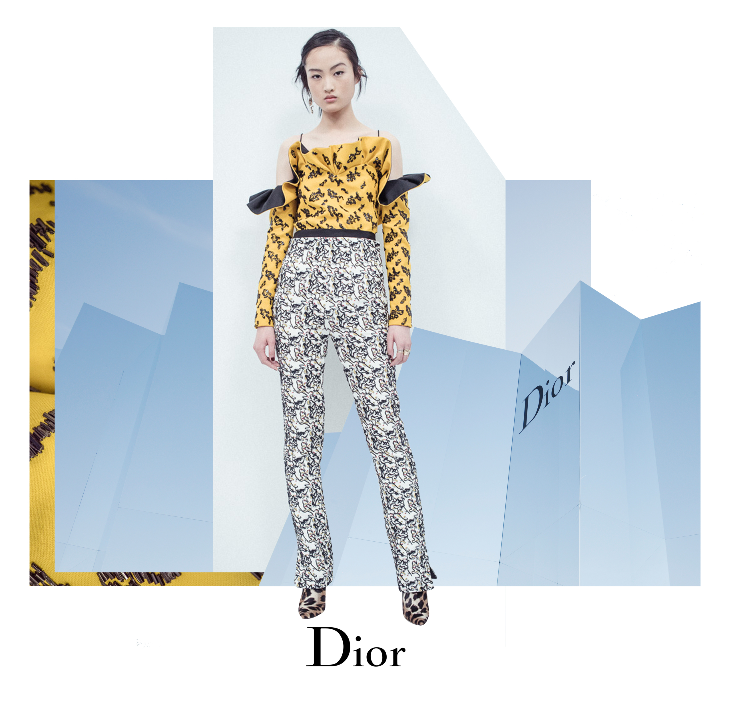 Foto de Detalles desfile Dior Alta Costura (3/15)