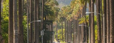 A quarta maior economia do mundo está recuando na proibição da energia à combustão em 2035 
