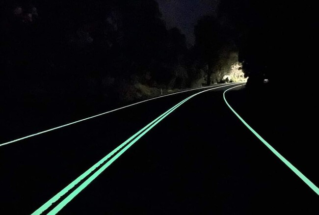 Dgt Linea Fluorescente 002