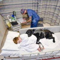 Quien tiene un amigo tiene un tesoro, aunque tenga cuatro patas