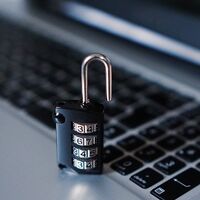 Día Internacional de la Seguridad de la Información: una de cada cuatro empresas no cuenta con una estrategia de seguridad informática