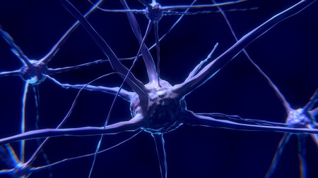 Las personas inteligentes tienen las células cerebrales más grandes de lo normal