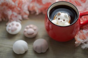 CafeCat, nubes que flotan en el café con forma de lindos gatitos