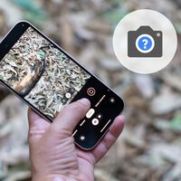Google ha metido una escuela de fotografía en la cámara de los Pixel. Hacer fotos como un 'Pro' ahora está alcance de todos 