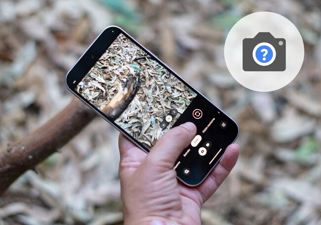 Camara Google Pixel Ayuda
