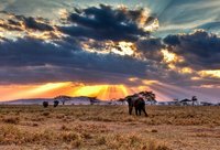 Visado para viajar a Tanzania e impuestos de salida