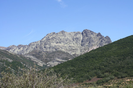 Curavacas