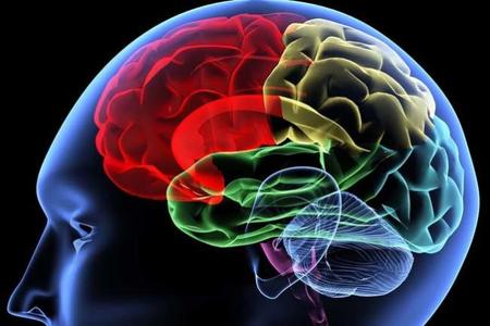 La ciencia lo confirma: nuestro cerebro se desarrolla más con la música HD que con los MP3 de baja calidad