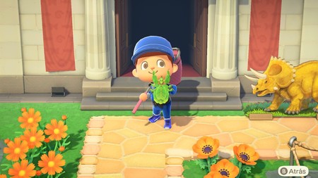 Animal Crossing: New Horizons: lista con todos los bichos de julio
