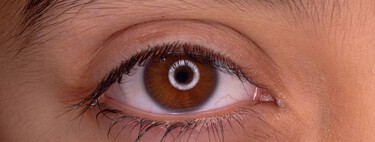 La evolución de nuestros ojos esconde un giro de guion: la ciencia apunta a un "gusano cíclope" de hace 600 millones de años 