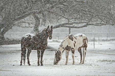¿Por qué el aire de nuestro alrededor se caliente cuando nieva?