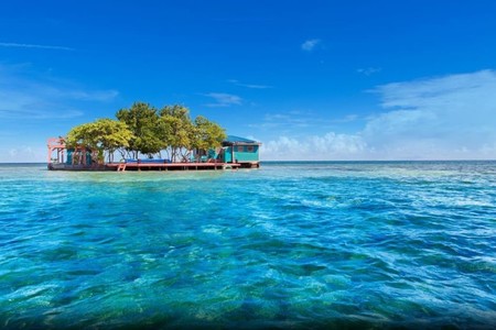 Bird Island