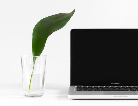 Cómo y por qué activar la gestión del estado de la batería en nuestro Mac