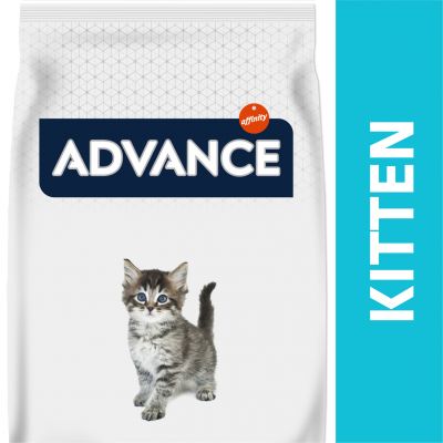 Advance Kitten