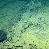 El “camino de baldosas amarillas” del reino de Oz era real: una misteriosa carretera sumergida a más de 3.000 metros apareció en Hawái