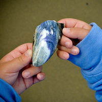 Tres ideas para que tu hijo aprenda más y mejor