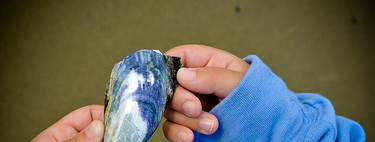 Tres ideas para que tu hijo aprenda más y mejor