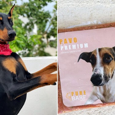 El perro Snoop muere con tres años debido a una mala dieta BARF. Cada vez más veterinarios alertan de sus riesgos