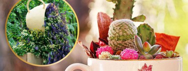 3 ideas que puedes realizar con las tazas viejas de la cocina: una opción para darles una nueva oportunidad sin tirarlas
