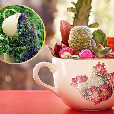3 ideas que puedes realizar con las tazas viejas de la cocina: una opción para darles una nueva oportunidad sin tirarlas