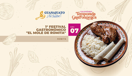 Disfruta de un buen plato de mole con pollo en el Festival Gastronómico 'El Mole de Romita' en esta localidad de Guanajuato